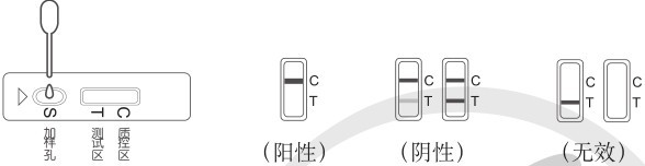 黄曲霉素B1速测卡 ZYD-HQB1SK-10