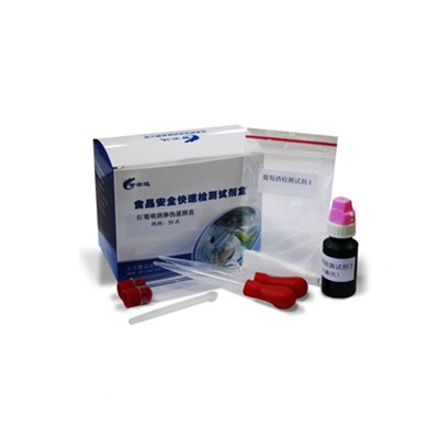 红葡萄酒掺伪速测盒 ZYD-HPTJ-50ZYD-HPTJ-50 