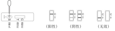 三聚氰胺速测卡 ZYD-SJ-10