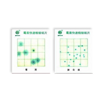 霉菌、酵母菌测试片
