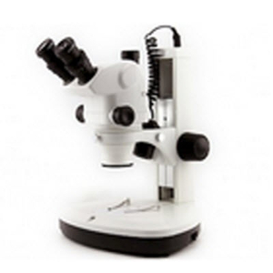 三目连续变倍体视显微镜 VMS300AVMS300A 