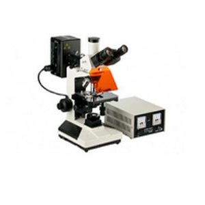 三目电脑型荧光生物显微镜 VMF20AVMF20A 