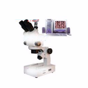 电脑型体视显微镜 XTL-3000DXTL-3000D 
