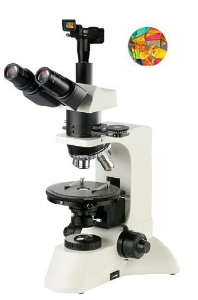 数码型偏光显微镜 XP-600D XP-600D 