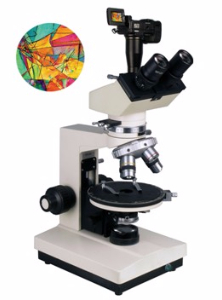 数码型偏光显微镜 XP-300D XP-300D 