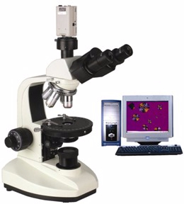 电脑型偏光显微镜 XP-203C XP-203C 