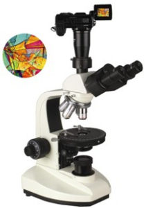 数码型偏光显微镜 XP-203D XP-203D 