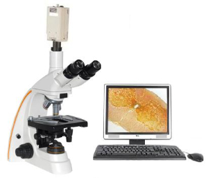 电脑型生物显微镜 XSP-12CCXSP-12CC 