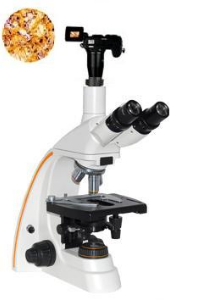 数码型生物显微镜 XSP-12CD XSP-12CD 
