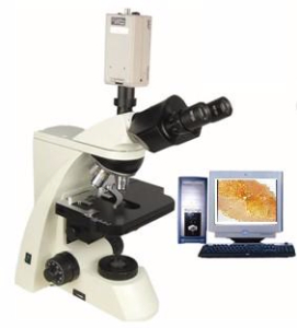 电脑型生物显微镜 XSP-10CC XSP-10CC 
