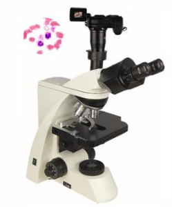数码型生物显微镜 XSP-10CDXSP-10CD 