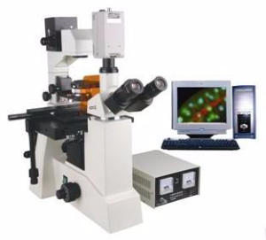 电脑型荧光显微镜 TXM-550C TXM-550C 