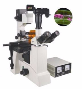 数码型荧光显微镜 TXM-550DTXM-550D 