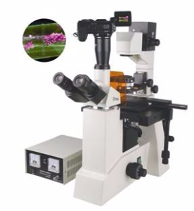 数码型荧光显微镜 TXM-500DTXM-500D 