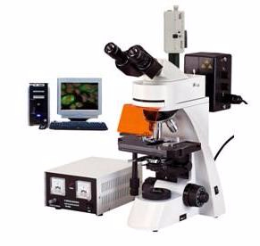 电脑型荧光显微镜 TXM-400CTXM-400C 