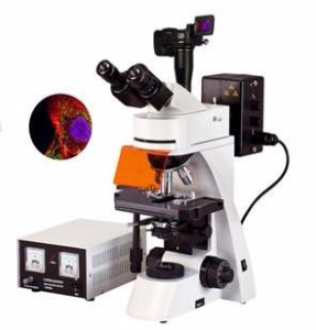 数码型荧光显微镜 TXM-400DTXM-400D 