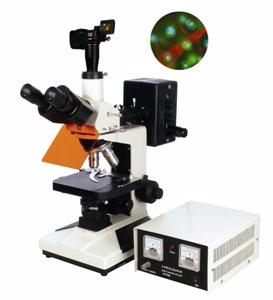 数码型荧光显微镜 TXM-330DTXM-330D 