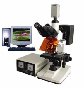 电脑型荧光显微镜 TXM-200CTXM-200C 