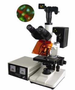 数码型荧光显微镜 TXM-200DTXM-200D 