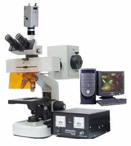 电脑型荧光显微镜 TXM-100AC TXM-100AC 