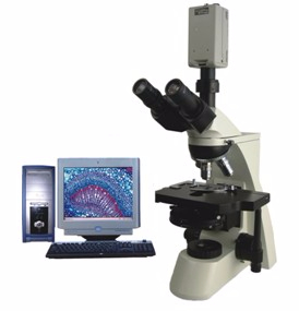 电脑型相衬显微镜 TXC-300C TXC-300C 