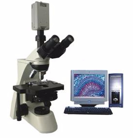 电脑型相衬显微镜 TXC-330CTXC-330C 