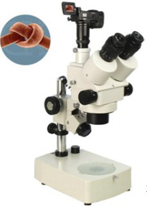 数码型体视显微镜 XTL-330D XTL-330D 