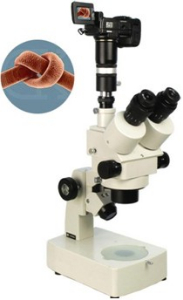 数码型体视显微镜 XTL-300DXTL-300D 