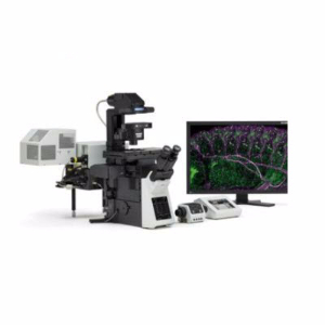 激光扫描共聚焦显微镜 FV1200FV1200 