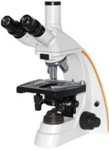 科研型生物显微镜 LW300-28LTLW300-28LT 