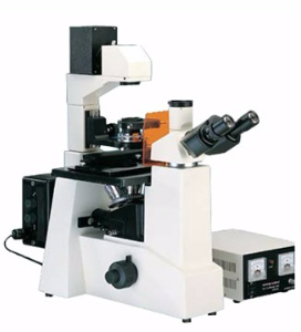 倒置荧光显微镜 LWD200-37FTLWD200-37FT 
