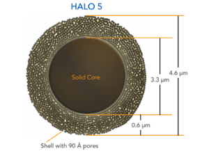 液相色谱柱 5μm5μm  