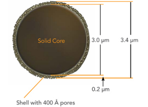 液相色谱柱 BIOCLASS ProteinBIOCLASS Protein 
