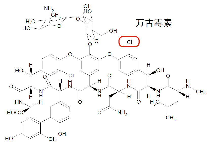 液相色谱柱 Venusil XBP C18 (2)