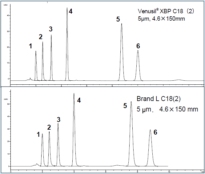 液相色谱柱 Venusil XBP C18 (2)