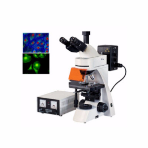 正置荧光显微镜 YZF-40 YZF-40 