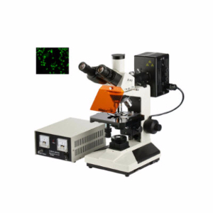 落射荧光显微镜 YZF-20YZF-20 