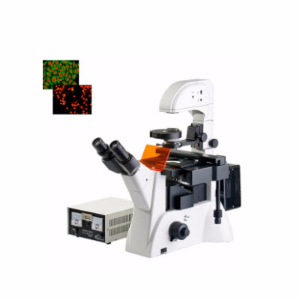 研究型倒置荧光显微镜 YDF-90YDF-90 
