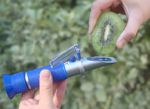 手持式糖分计  JZ-32 JZ-32 