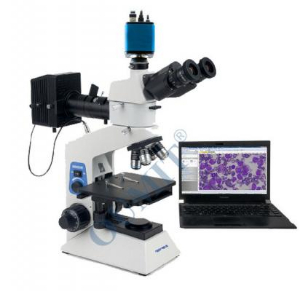 正置金相显微镜 BH-200MBH-200M 