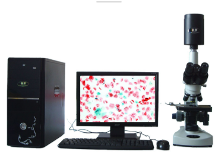 迈朗高倍智能变焦数码显微分析仪  sj-tmdi810（I） sj-tmdi810（I） 
