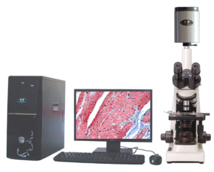 迈朗高倍智能变焦数码显微分析仪  sj-tmdi810（II） sj-tmdi810（II） 
