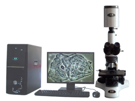 迈朗高倍智能变焦数码显微分析仪  sj-tmdi810（III） sj-tmdi810（III） 