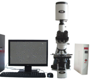 迈朗高倍智能变焦数码显微分析仪  sj-tmdi810 VI  sj-tmdi810 VI 
