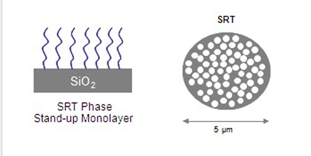 SEC色谱柱  SRTSRT  