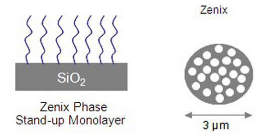 SEC色谱柱     Zenix Zenix  