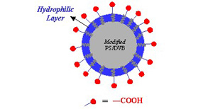 离子交换色谱柱  AntibodixAntibodix 