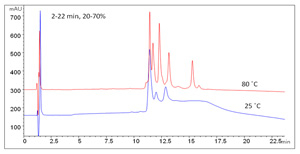 疏水反相色谱柱   Proteomix RPProteomix RP 