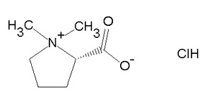 益母草专用柱   Polar-Propylamide   Polar-Propylamide 