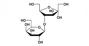 乳糖专用柱   Lac-AminoLac-Amino 